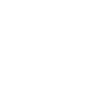 logo BBL_White